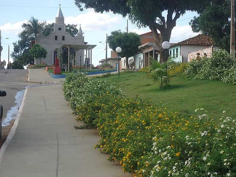 IMAGENS DA LOCALIDADE DE NOVA MINDA - MG - NOVA MINDA - MG