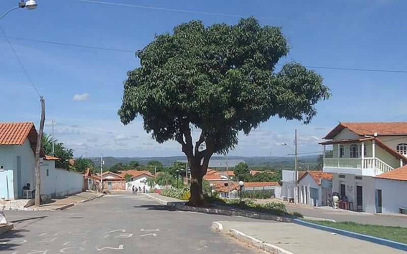 IMAGENS DA LOCALIDADE DE NOVA MINDA - MG - NOVA MINDA - MG