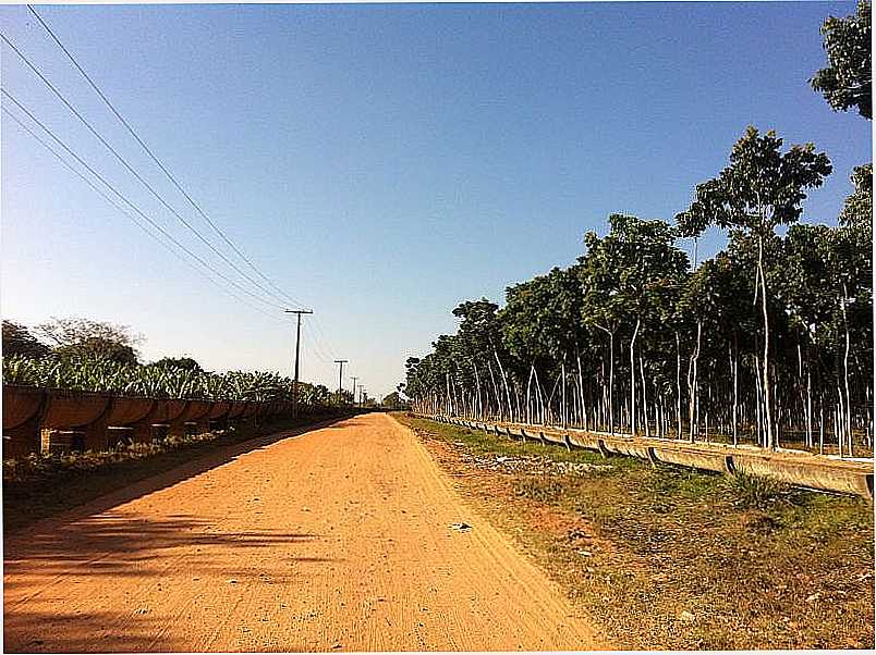 NOVA PORTEIRINHA-MG-ESTRADA DA CIDADE-FOTO:PATRCIA BRITTO - NOVA PORTEIRINHA - MG