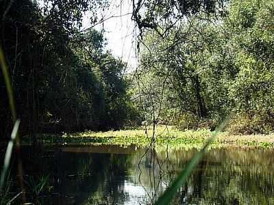 LAGOA-FOTO:ISMAELSILVA  - OLEGRIO MACIEL - MG