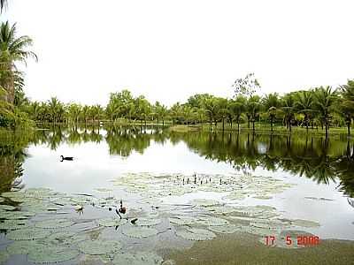 LAGO POR ELOIZIO - BANANEIRAS - AL