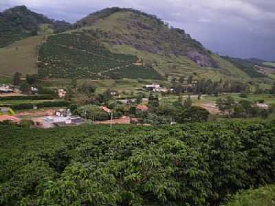 ORIZNIA POR PATRICK AMORIM A - ORIZNIA - MG