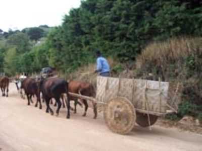 CARRO BOI, POR ECOADVENTURE  - OURO FINO - MG