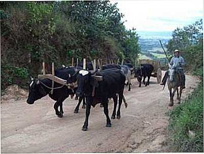 TURISMO RURAL, POR AGNCIA RECEPTIVA SUL DAS GERAIS,ECOTURISMO E AVENTURA - OURO FINO - MG