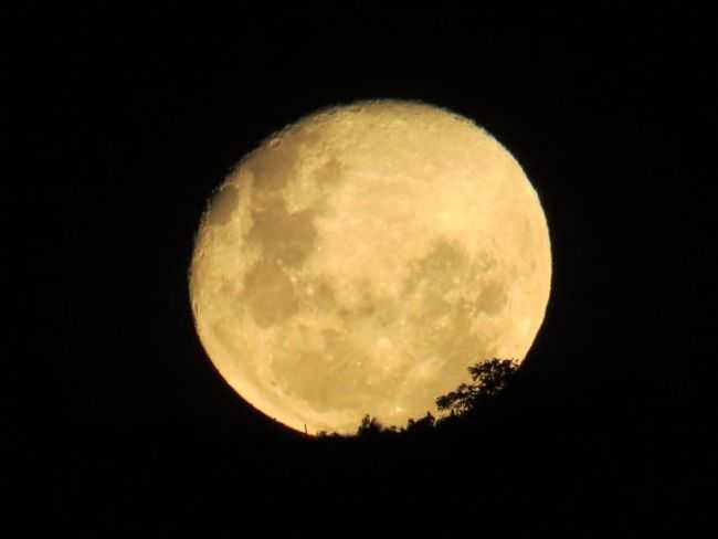 , POR ROGERIO  COSTA - OURO VERDE DE MINAS - MG