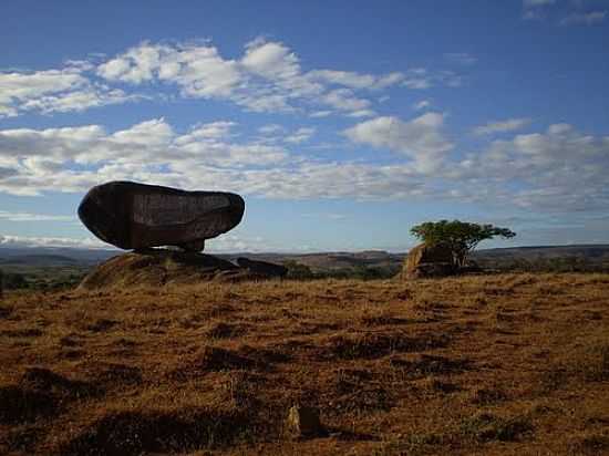 IMAGEM DE PACINCIA-FOTO:ALBERTOSAURUS2003 - PACINCIA - MG