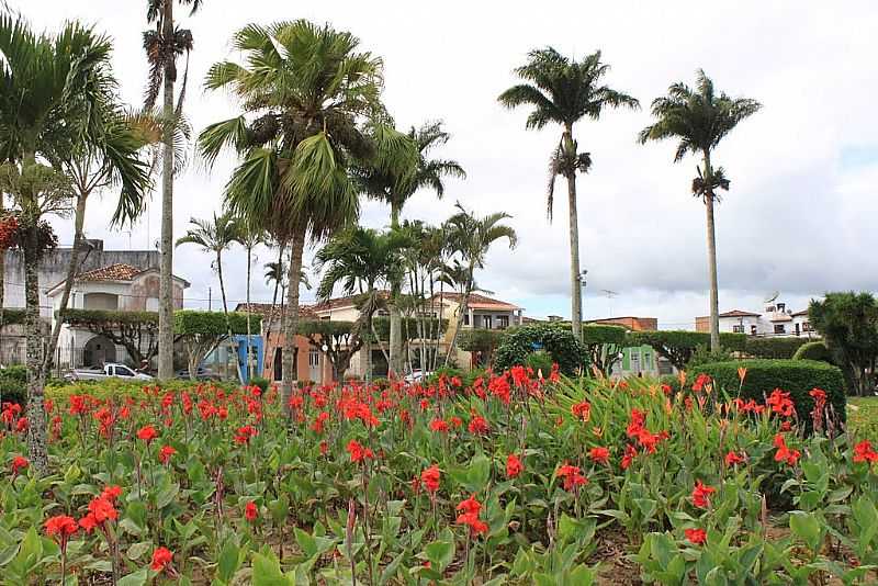 AMARGOSA-BA-FLORES NA PRAA CENTRAL-FOTO:MARCELO S F - AMARGOSA - BA