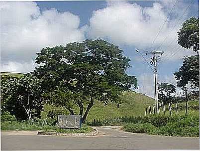 SADA DE PALMA PARA MONTE ALTO-FOTO:PAULOHENRIQUECP27  - PALMA - MG