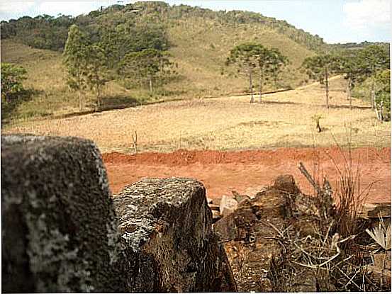 PARAISO GARCIA-MG-VISTA DA PROPRIEDADE,FAZENDA VAP-FOTO:EMERSON RODRIGO LACERDA - PARASO GARCIA - MG