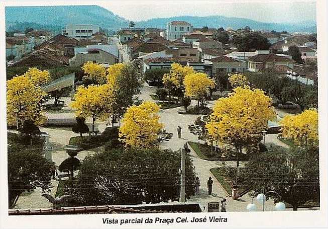 PRAA DAS IPS, POR JOS CARLOS PEDROSA DE ALMEIDA - PARAISPOLIS - MG