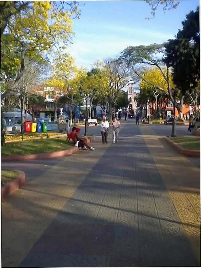 AVENIDA DAS IPS, POR JOS CARLOS PEDROSA DE ALMEIDA - PARAISPOLIS - MG