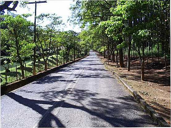 ESTRADA DO IBAMA EM PASSA QUATRO-FOTO:JBRMONTEIRO - PASSA QUATRO - MG