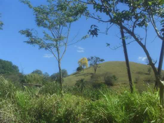 IP AMARELO, POR LOURDES - PASSA QUATRO - MG