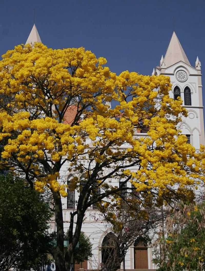 IMAGENS DA CIDADE DE PASSOS - MG - PASSOS - MG