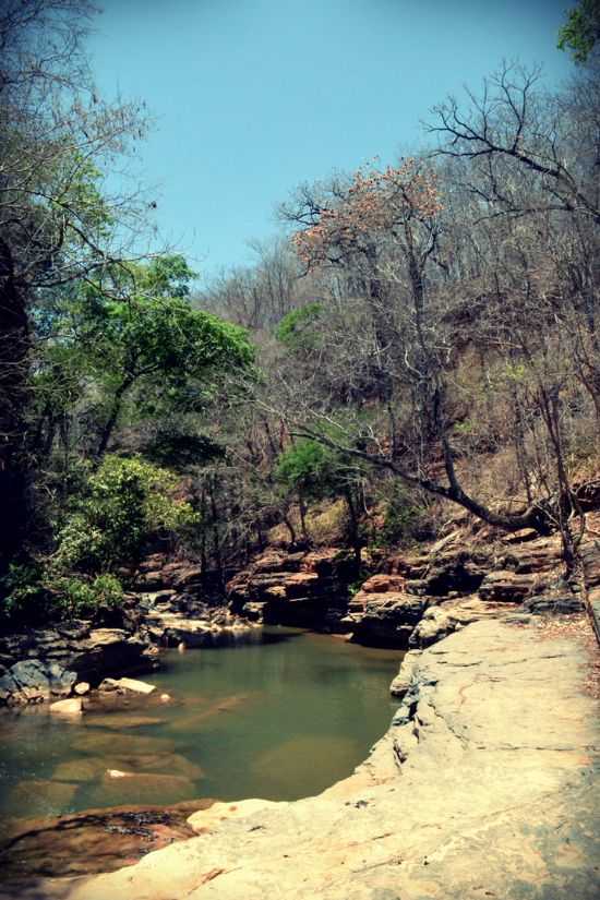 PATIS, POR ALINY RAMONE - PATIS - MG