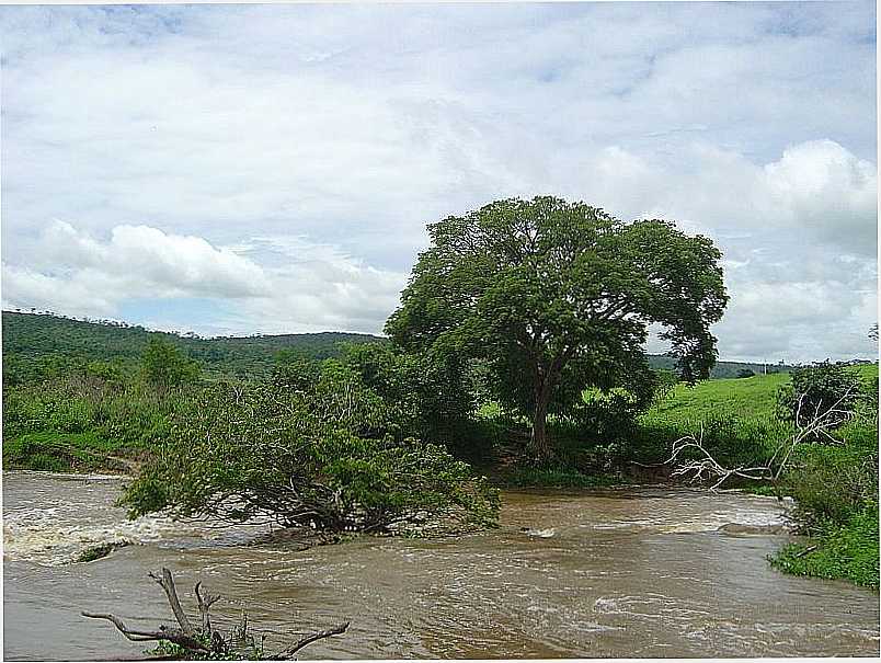 PEDRA AZUL-MG-CACHOEIRINHA DA FLORESTA-FOTO:PAULOMARCIO - PEDRA AZUL - MG