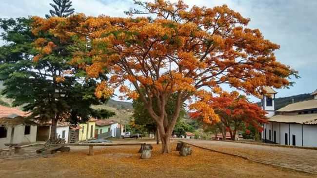 POR LUANA GUIMARES - PENHA DE FRANA - MG