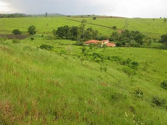 FAZENDA  7 KM DE PENHA DO CASSIANO-FOTO:ANISIO1 - PENHA DO CASSIANO - MG