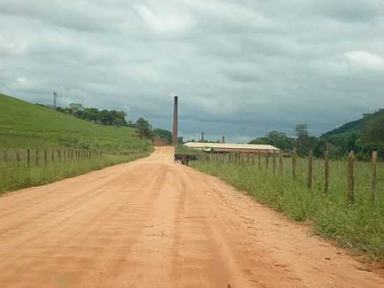 OLARIA EM PENHA LONGA-FOTO:JOSIASFM - PENHA LONGA - MG