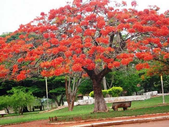 PRAA DE PERDILANDIA, POR WISLEI LEMES DA SILVA - PERDILNDIA - MG