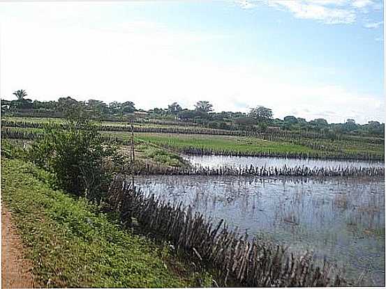 LAGOA EM ANGICO-BA-FOTO:JAMES PEREIRA DOS SA - ANGICO - BA