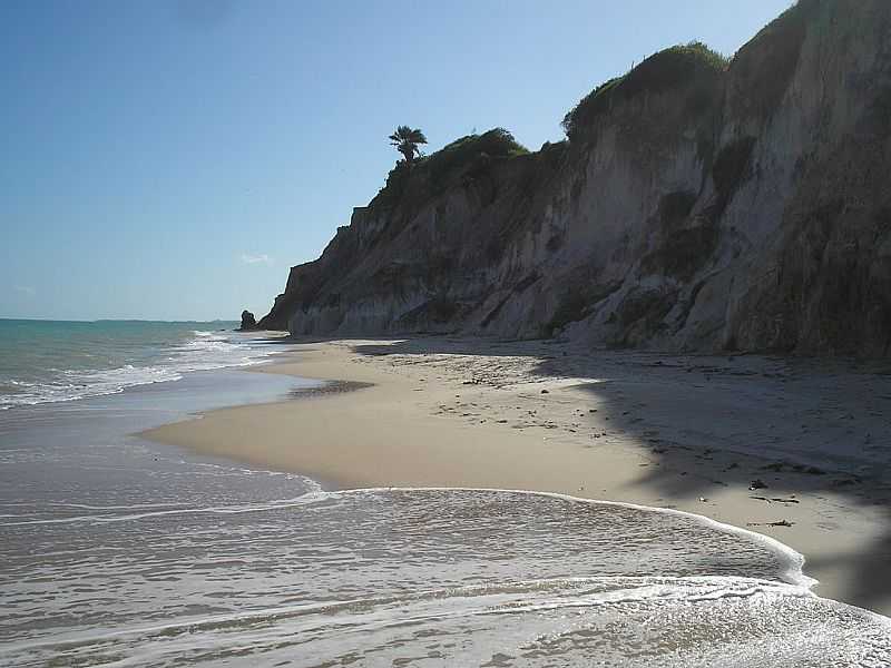 BARRA DE SANTO ANTNIO-AL-FALSIAS NA PRAIA DO CARRO QUEBRADO-FOTO:MARCELO PARISE PETAZONI - BARRA DE SANTO ANTNIO - AL