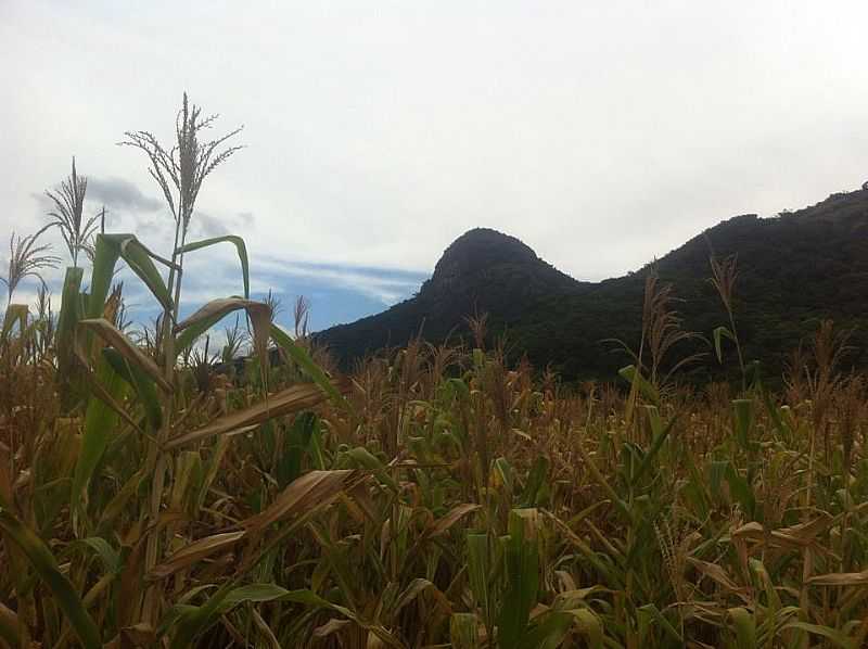 IMAGENS DA CIDADE DE PINGO DGUA - MG - PINGO-D'GUA - MG