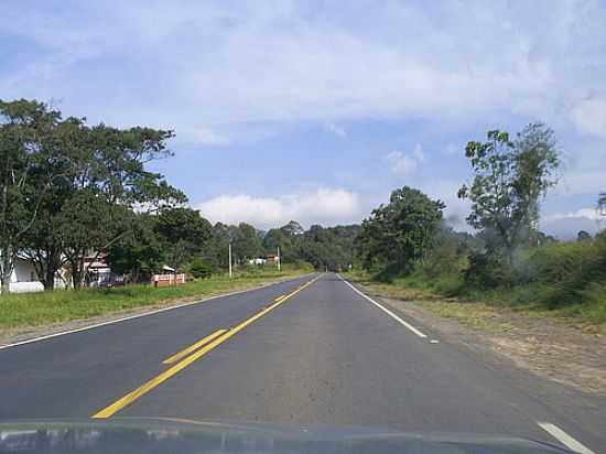 PINHEIRINHOS-FOTO:JBRMONTEIRO  - PINHEIRINHOS - MG