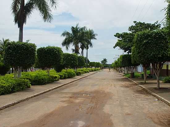 AVENIDA-FOTO:VAGNER RONDON  - PINTPOLIS - MG