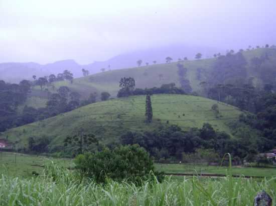 DIA DE CHUVA, POR THERESA GORGULHO - PINTOS NEGREIROS - MG