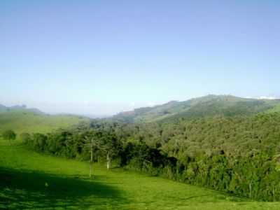 CAMPO FEIO, POR TEGORGULHO - PINTOS NEGREIROS - MG