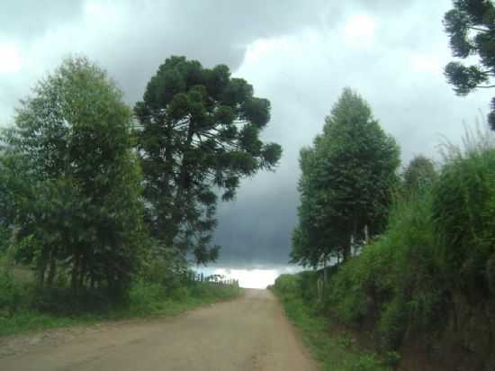 DIA DE CHUVA, POR THERESA GORGULHO - PINTOS NEGREIROS - MG