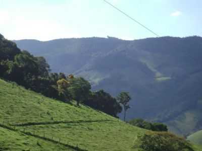 CAMPO FEIO - PN, POR TEGORGULHO - PINTOS NEGREIROS - MG