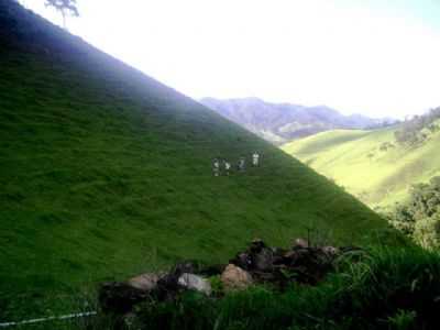 CAMPO FEIO, POR TEGORGULHO - PINTOS NEGREIROS - MG