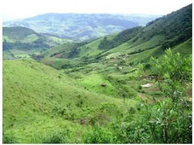 CAMINHO PELA PONTE FURADA   - PN, POR TEGORGULHO - PINTOS NEGREIROS - MG