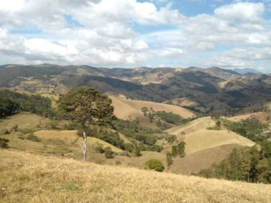 PONTE FURADA, POR THERESA GORGULHO - PINTOS NEGREIROS - MG