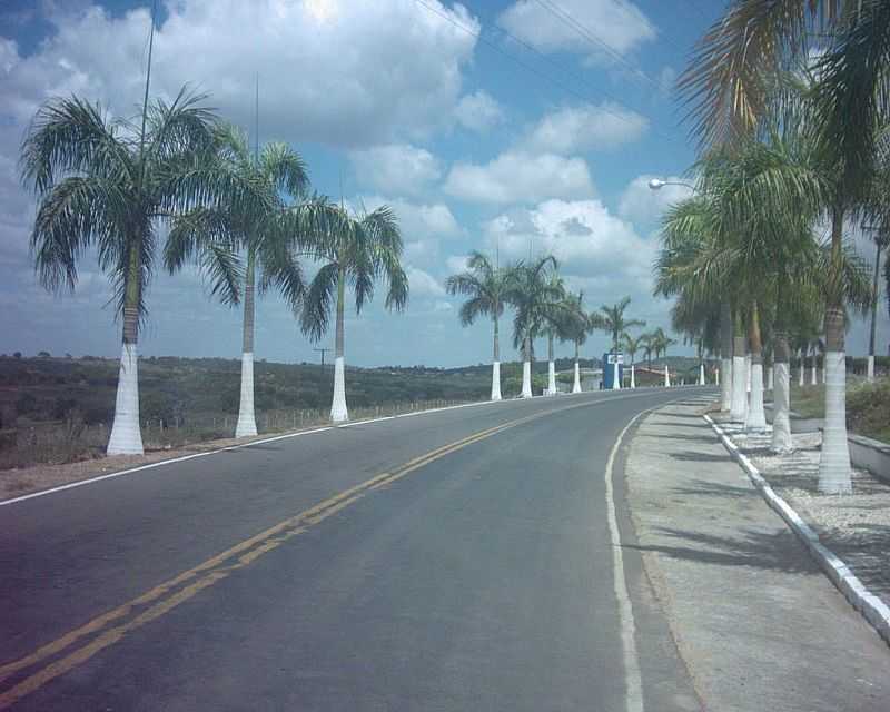 ANTNIO CARDOSO-BA-AVENIDA NA ENTRADA DA CIDADE-FOTO:NIVAS LARSAN - ANTNIO CARDOSO - BA
