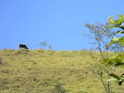 VISTA A BEIRA DO PORTAL DA CIDADE, POR DIEGO GOMES FREITAS - POO FUNDO - MG