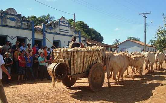 CARRO DE BOI EM POES-FOTO:WILSON FORTUNATO - POES DE PAINEIRAS - MG