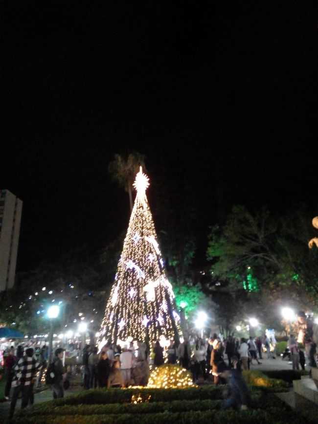 PRINCIPAL RVORE DE NATAL, POR ELIEZER COSTA - POOS DE CALDAS - MG