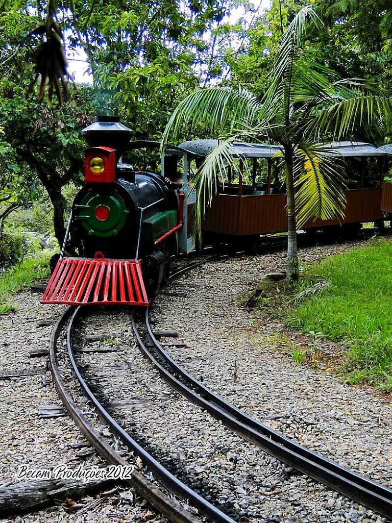 POOS DE CALDAS-MG-TURISMO FERROVIRIO-FOTO:ADRIANO MARTINS - POOS DE CALDAS - MG