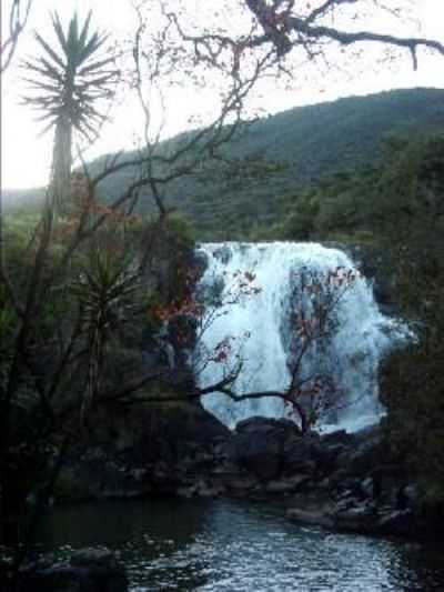 VEU DAS NOIVAS, POR SILVIO - POOS DE CALDAS - MG