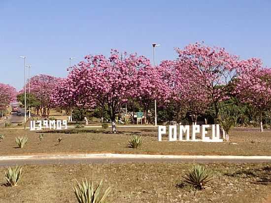 IPS NO TREVO DE ACESSO EM POMPU-FOTOALCIO74 - POMPU - MG