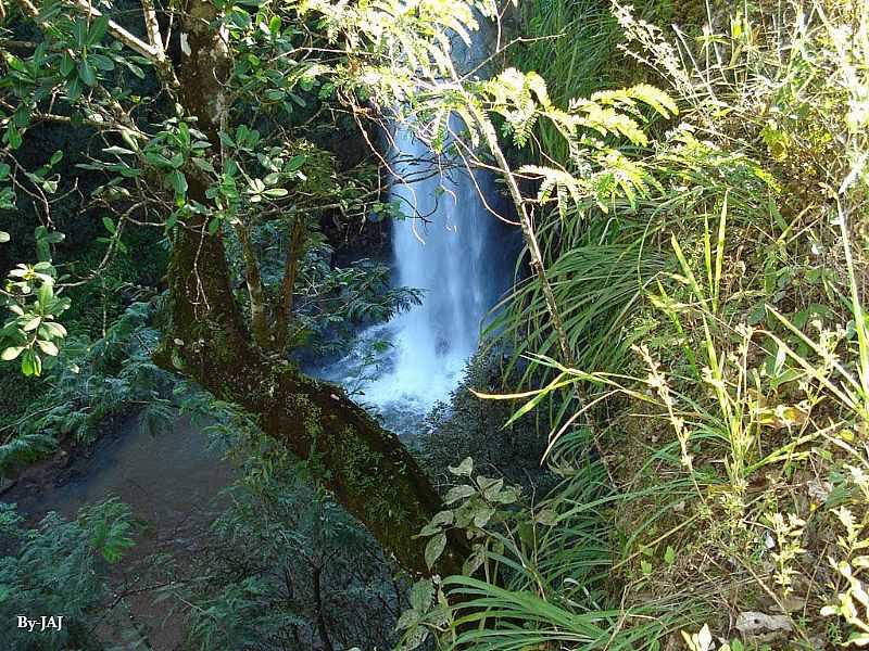 PONTE ALTA-MG-CACHOEIRA DE PONTE ALTA-FOTO:JOSE AILTON JACINTO  - PONTE ALTA - MG