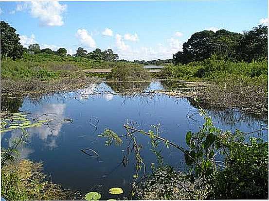 LAGOA-FOTO:RUBENS13  - PONTO CHIQUE - MG