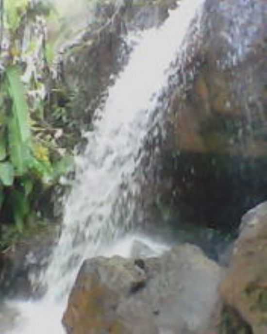 IMAGEM DA CACHUEIRA, BR/116, POR GLNIA RIBEIRO - PONTO DO MARAMBAIA - MG