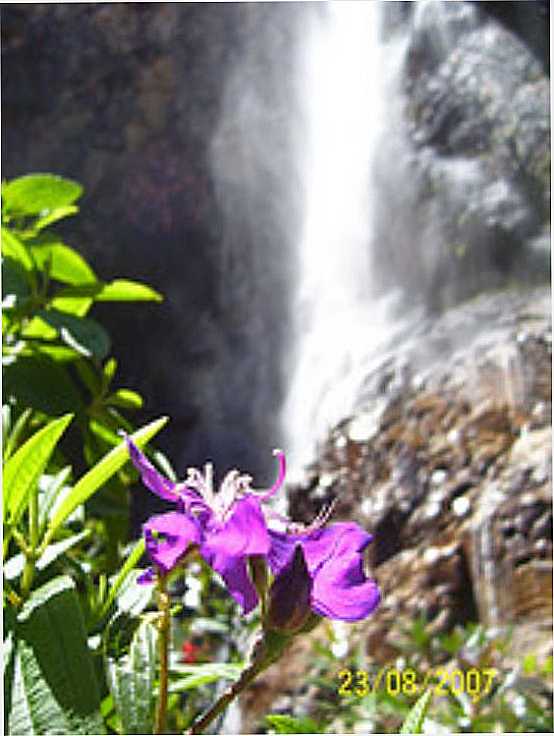 CACHOEIRA DO SERRADO, POR WEVERTON LUCAS - PORTEIRINHA - MG
