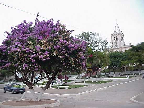 PRAA DA MATRIZ - PORTO FIRME - MG