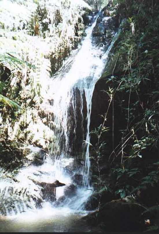 CACHOEIRAS DA PEDRA PRETA EM POUSO ALTO-FOTO:JOSEANE GUIMARES - POUSO ALTO - MG