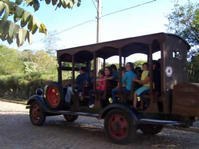 JARDINEIRA, POR FABRCIO LAGE MANSUR - PRADOS - MG